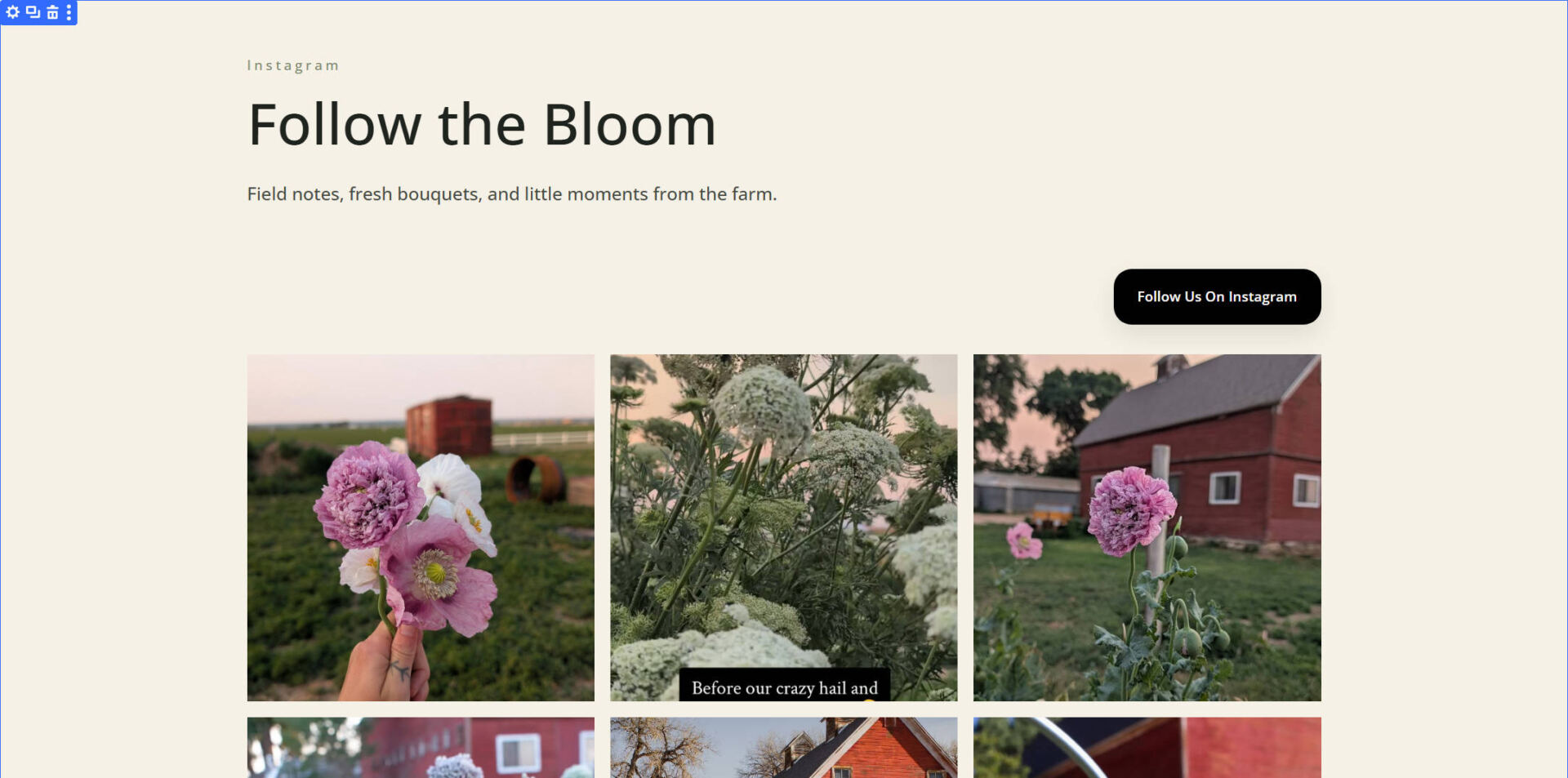 Example Instagram Feed connected to Divi's Instagram Feed Module